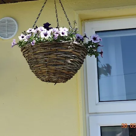 Hillgrove, Borrisokane 테리클라스