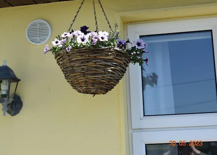 Hillgrove, Borrisokane Terryglass